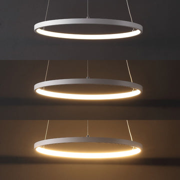 Brice Modern Contemporary Iron Integrated LED Pendant